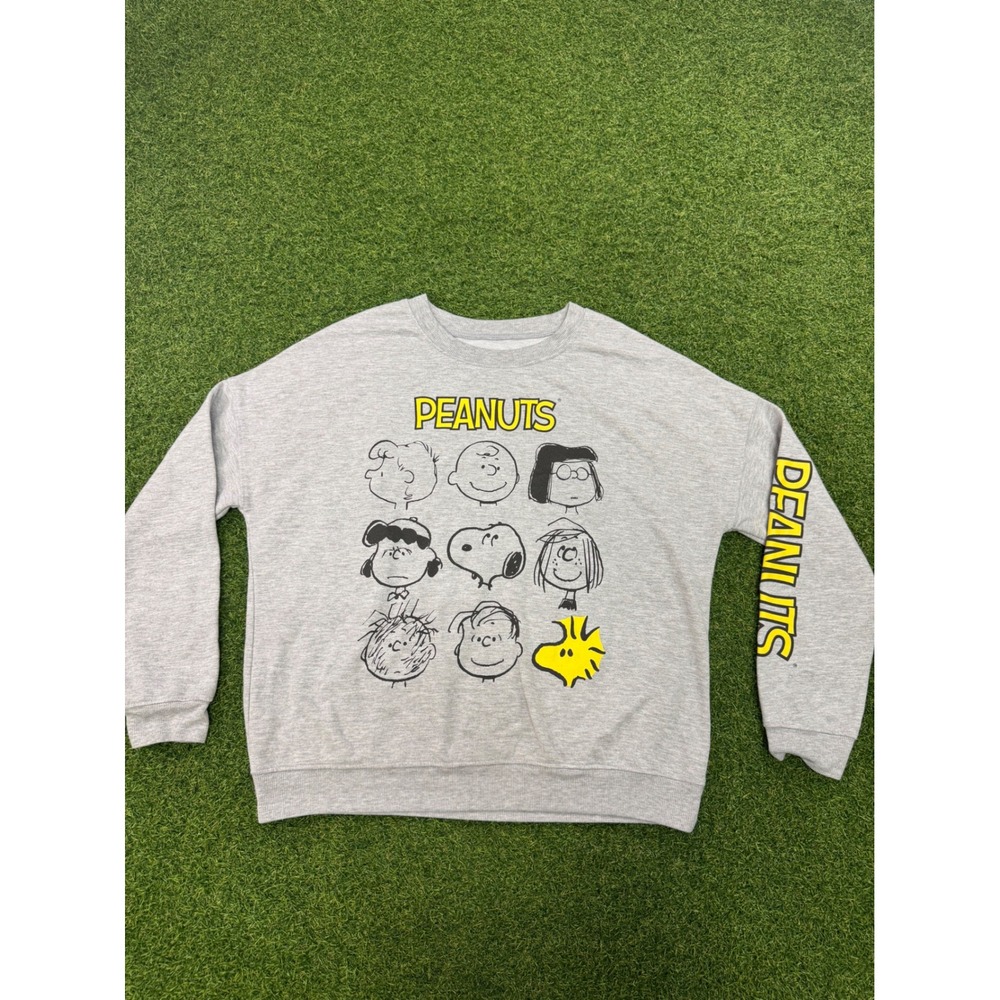 Peanuts Charlie Brown Snoopy Graphic Sweatshirt Gray Crew Neck Size M RN117508